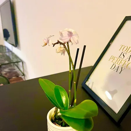 Apartment Better Living - - Exklusiv 76qm *